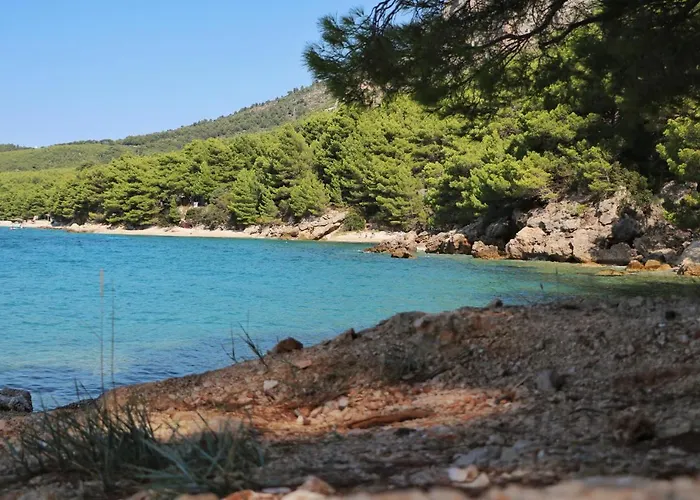 게스트하우스 Camp Milo Moje 4*